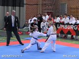 dmd20110410_bkwado0426