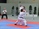 dmd20111113_leuven0437