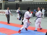 dmd20111113_leuven1083