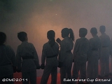 dmd20111030_KCS0420
