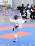 dmd20111126_NK0290