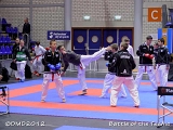 dmd20121201-BotT009