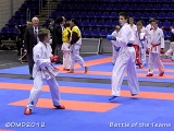 dmd20121201-BotT020
