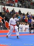 dmd20120310_DO-kata224