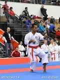 dmd20120310_DO-kata233