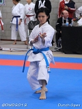 dmd20120310_DO-kata283