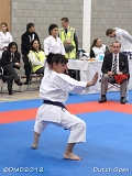 dmd20120310_DO-kata306