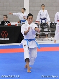 dmd20120310_DO-kata325