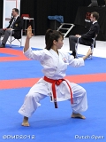 dmd20120310_DO-kata334