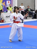 dmd20120310_DO-kata419