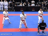 dmd20120310_DO-kata470