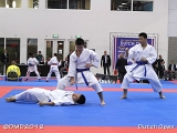 dmd20120310_DO-kata511