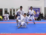 dmd20120310_DO-kata520