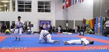 dmd20120310_DO-kata571