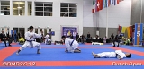 dmd20120310_DO-kata586