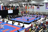 dmd20120310_DO-kata597