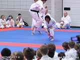 dmd20120219_JKD028