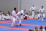 dmd20120219_JKD035