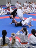 dmd20120219_JKD051