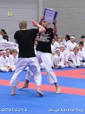 dmd20120219_JKD060