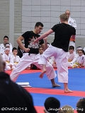 dmd20120219_JKD067