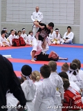 dmd20120219_JKD070