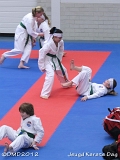 dmd20120219_JKD113