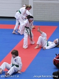 dmd20120219_JKD114