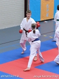 dmd20120219_JKD121