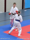 dmd20120219_JKD122