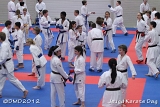 dmd20120219_JKD126