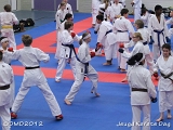 dmd20120219_JKD127