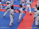 dmd20120219_JKD130