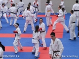 dmd20120219_JKD144