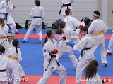 dmd20120219_JKD145