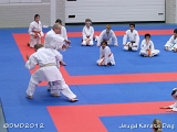 dmd20120219_JKD146