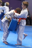 dmd20120219_JKD213