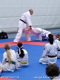 dmd20120219_JKD221