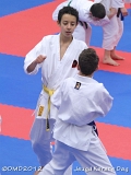 dmd20120219_JKD234