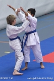 dmd20120219_JKD245