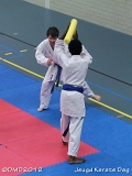dmd20120219_JKD314