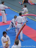 dmd20120219_JKD315