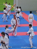 dmd20120219_JKD317