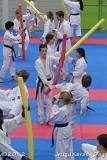 dmd20120219_JKD322