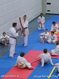 dmd20120219_JKD324