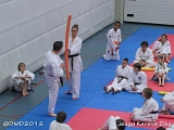 dmd20120219_JKD325