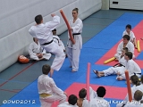 dmd20120219_JKD333