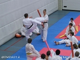 dmd20120219_JKD334