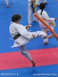 dmd20120219_JKD338