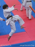 dmd20120219_JKD340